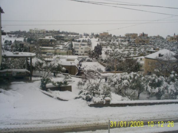 Chaqra sous la neige